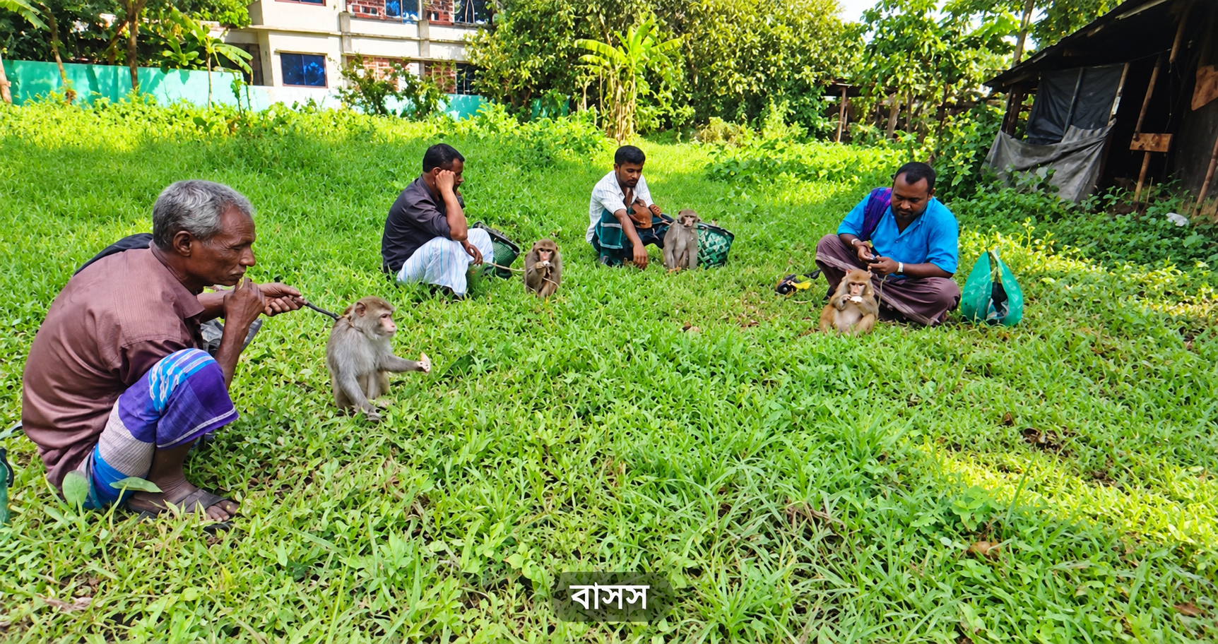 কলাপাড়ায় ৪টি বন্য বানরসহ চার বাজিকর আটক, অঙ্গীকারনামায় মুক্তি